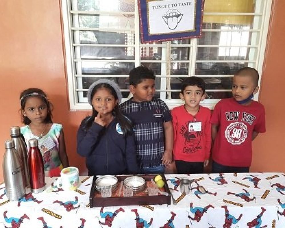 Photos Activity Sense Organs By UKG Kids